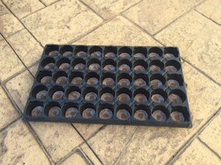Jiffy Professional Growing Tray - 45 Cell for Medium Seeds with Pellets