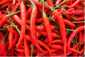 Kashmiri - Chilli Pepper - Capsicum Annum - 5 seeds