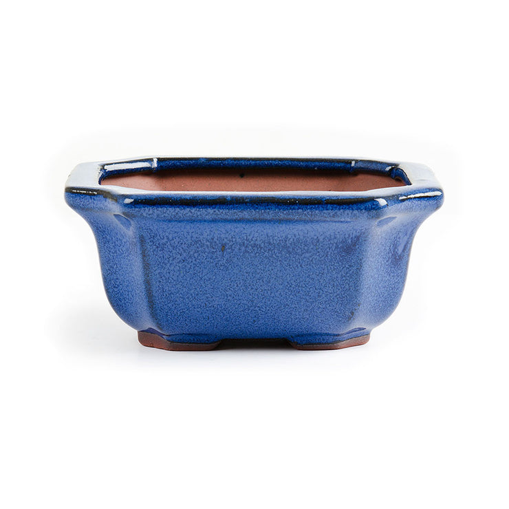 13cm x 11cm x 6cm Glazed Bonsai Container - Dark Blue