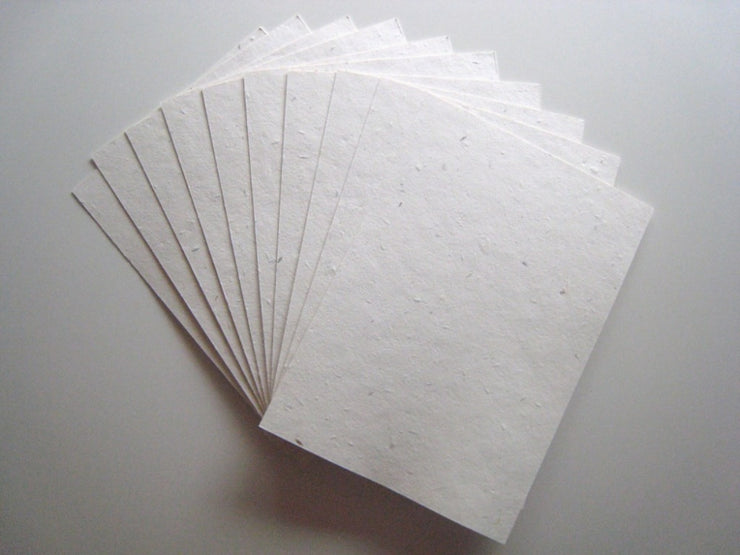Growing Paper - Pack of 5 plain A4 Sheets