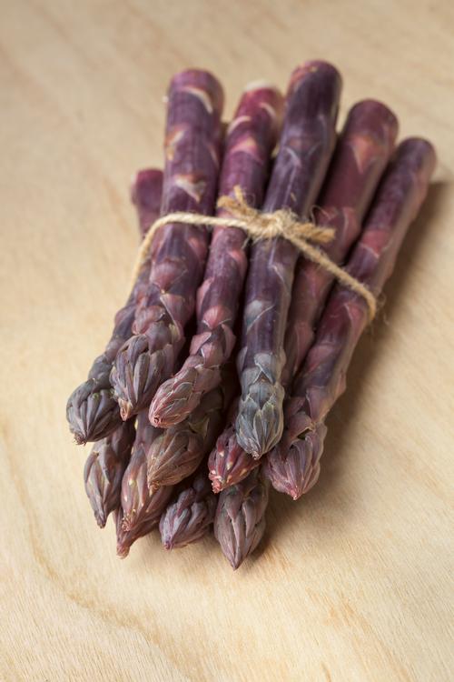Sweet Purple Asparagus - Asparagus Officinalis - Vegetable - 5 Seeds