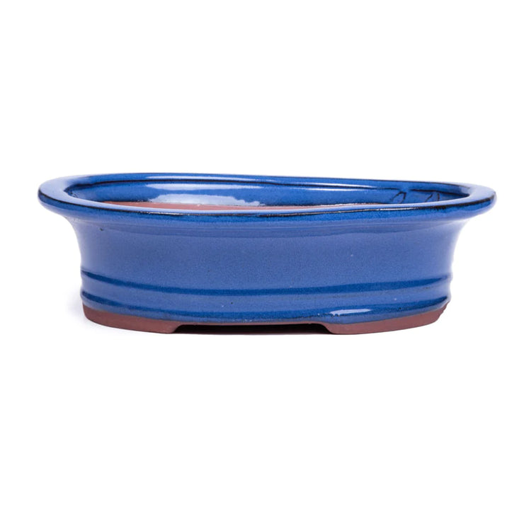 31 x 23 x 10cm - Glazed Bonsai Container -  Blue