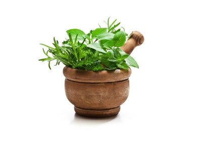 10 Herbs To Grow Indoors This Winter!
