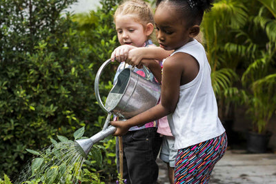 Sharing is Caring - A Community Garden Dream!