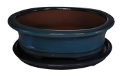 20 x 15 x 7 cm - Glazed Bonsai Pot with Matching Tray - Aqua Blue