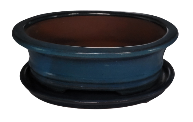 20 x 15 x 7 cm - Glazed Bonsai Pot with Matching Tray - Aqua Blue