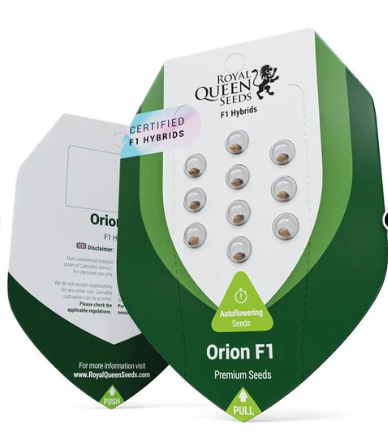Royal Queen Seeds - Orion F1 - Cannabis Breeders Pack - F1 Hybrid Cannabis Seeds
