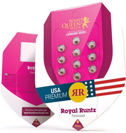 Royal Queen Seeds - Royal Runtz - Cannabis Breeders Pack - Feminized Cannabis Seeds