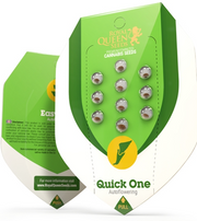Royal Queen Seeds - Quick One - Cannabis Breeders Pack - Autoflowering Cannabis Seeds