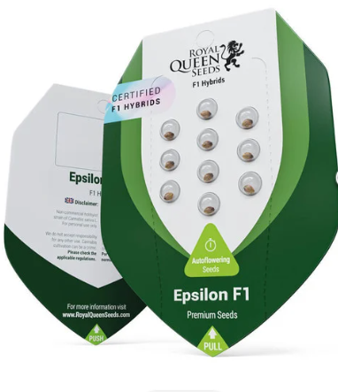 Royal Queen Seeds - Epsilon F1 - Cannabis Breeders Pack - F1 Hybrid Cannabis Seeds | Seeds For Africa