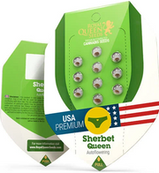 Royal Queen Seeds - Sherbet Queen Auto - Cannabis Breeders Pack - Autoflowering Cannabis Seeds