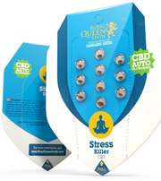Royal Queen Seeds - Stress Killer Automatic CBD - Cannabis Breeders Pack - CBD Cannabis Seeds