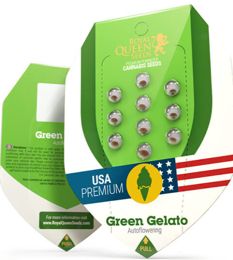 Royal Queen Seeds - Green Gelato Auto - Cannabis Breeders Pack - Autoflowering Cannabis Seeds