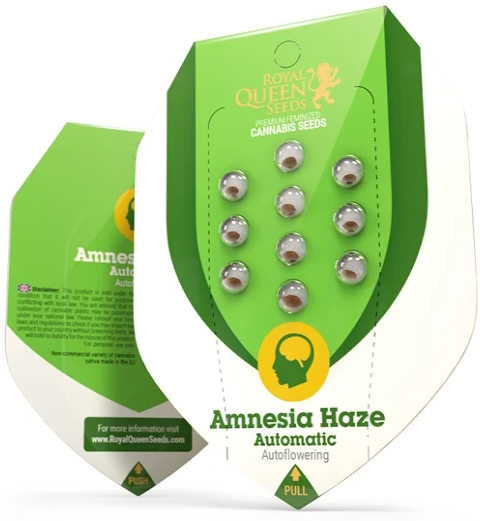 Royal Queen Seeds - Amnesia Haze Auto - Cannabis Breeders Pack - Autoflowering Cannabis Seeds