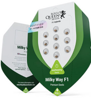 Royal Queen Seeds - Milky Way F1 - Cannabis Breeders Pack - F1 Hybrid Cannabis Seeds