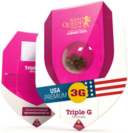 Royal Queen Seeds - Triple G - Cannabis Breeders Pack - Feminized Cannabis Seeds