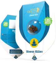 Royal Queen Seeds - Stress Killer Automatic CBD - Cannabis Breeders Pack - CBD Cannabis Seeds