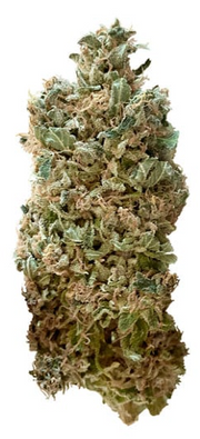 Royal Queen Seeds - Royal Skywalker - Cannabis Breeders Pack - Feminized Cannabis Seeds