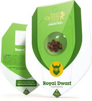 Royal Queen Seeds - Royal Dwarf - Cannabis Breeders Pack - Autoflowering Cannabis Seeds