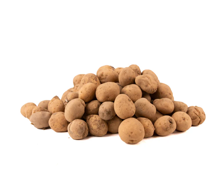 BP1 Seed Potatoes - 7 Tubers - SPA