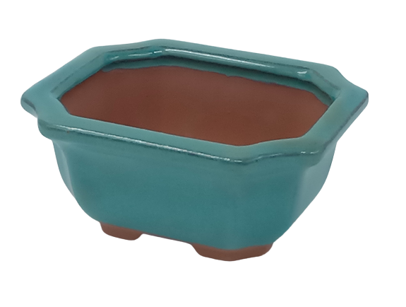 13 X 11 X 6 cm Glazed Bonsai Pot - Rectangular Floriated