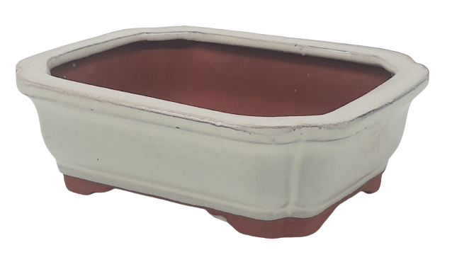 17 x 13 x 6 cm - Glazed Bonsai Pot - Cream