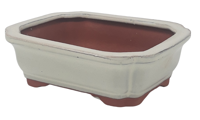 15 x 12 x 5 cm Glazed Bonsai Pot - Rectangular Floriated  - Cream