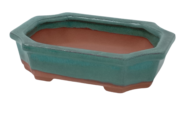 20 x 16 x 7 cm - Glazed Bonsai Pot - Green