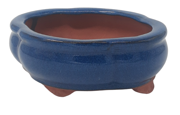 15 x 12 x 5 cm Glazed Bonsai Pot - Blue