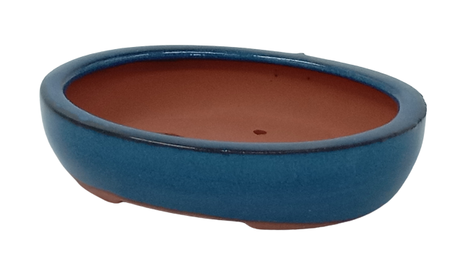 15 x 12 x 3 cm Glazed Bonsai Pot - Blue Oval