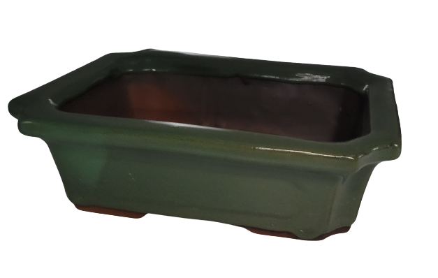 25 x 18 x 7 cm - Glazed Bonsai Pot - Green