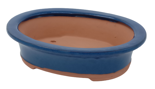 26 x 21 x 6 cm - Glazed Bonsai Pot - Blue