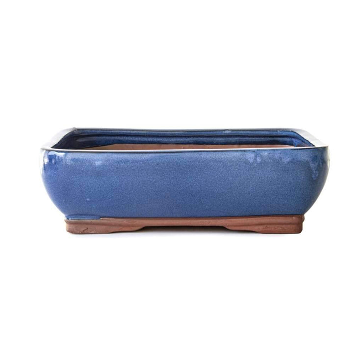 20 x 16 x 8 cm - Glazed Bonsai Pot - Blue