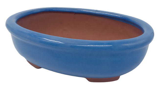 29 x 22 x 8 cm - Glazed Bonsai Pot - Blue