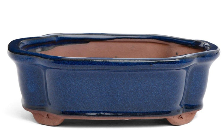 20 x 16 x 7 cm - Glazed Bonsai Pot - Blue