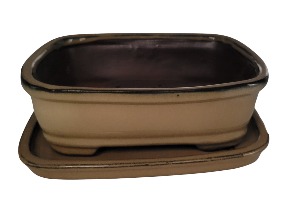 20 x 15 x 7 cm - Glazed Bonsai Pot with Matching Tray - Mustard