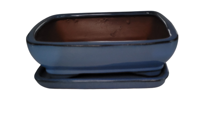 20 x 15 x 7 cm - Glazed Bonsai Pot with Matching Tray - Blue