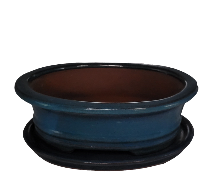 20 x 15 x 7 cm - Glazed Bonsai Pot with Matching Tray - Aqua Blue