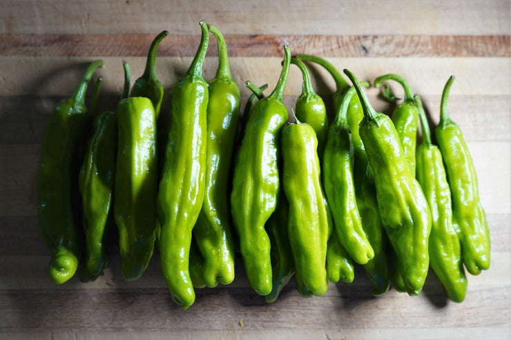 Shishito Japanese Chilli Pepper - Capsicum annuum - 10 Seeds