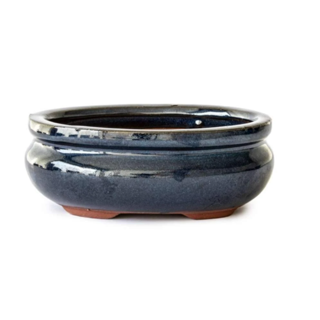 12 x 9 x 5 cm Glazed Bonsai Pot - Oval Dark Blue