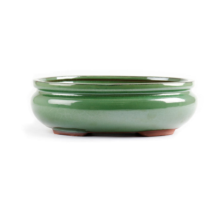 14 x 11 x 5 cm - Glazed Bonsai Pot - Green Oval