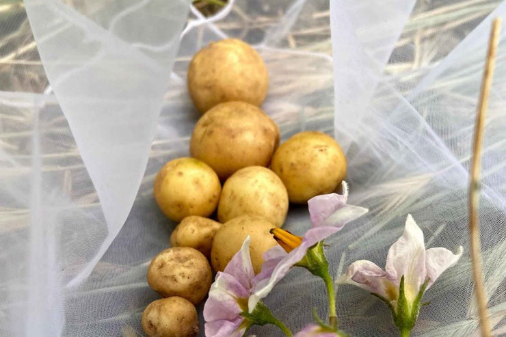 Plant Matter Breathable Fabric Potato Growing Bags