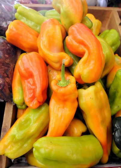 Cubanelle Sweet Pepper - Capsicum Annuum - 10 Seeds