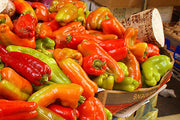 Cubanelle Sweet Pepper - Capsicum Annuum - 10 Seeds