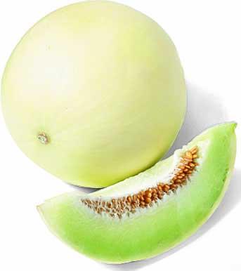 Honeydew Green Melon - Bulk Fruit Seeds - 50 grams