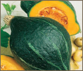 Chicago Warted / Green Hubbard Squash - Cucurbita Maxima - 5 Seeds