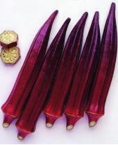 Red Burgundy Okra - Abelmoscgus Esculentus - Vegetable - 30 Seeds