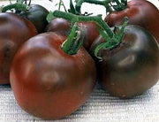 Black Prince Tomato - Lycopersicon Esculentum - Russian Heirloom Vegetable - 5 Seeds