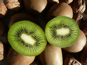 Kiwi Fruit - Actinidia deliciosa - Exotic Fruit Vine - 20 Seeds