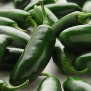 La Bomba F1 Jalapeno Chilli Pepper - Capsicum Annuum - 5 Seeds - The Patio Vegetable Collection